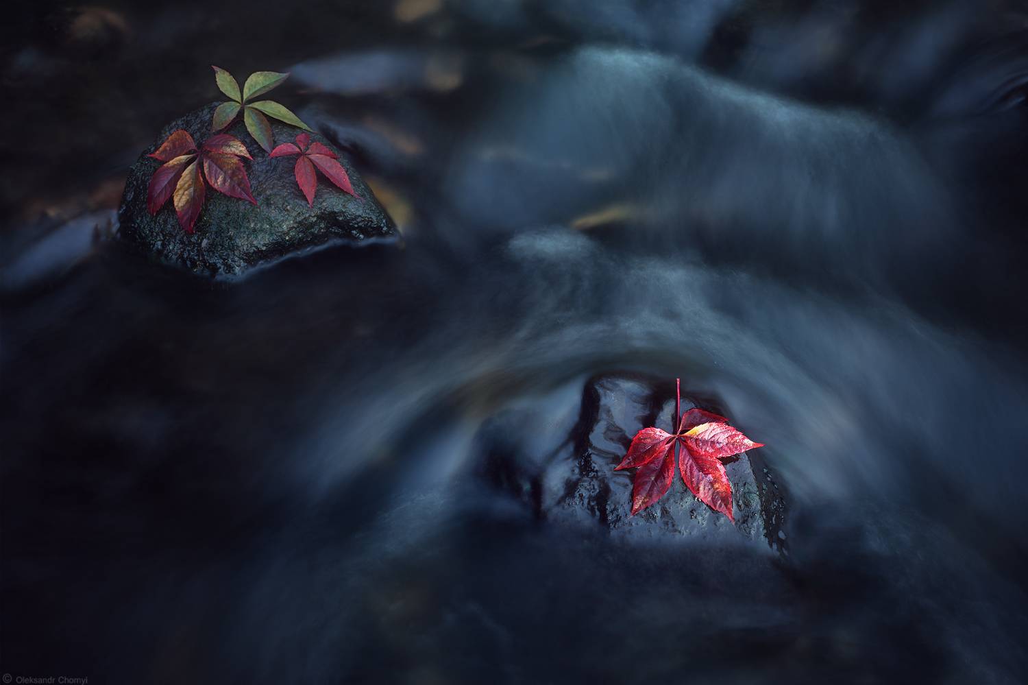 "Любовь подарила тебе зрение...". Автор: Чорный Александр , Чорный Александр