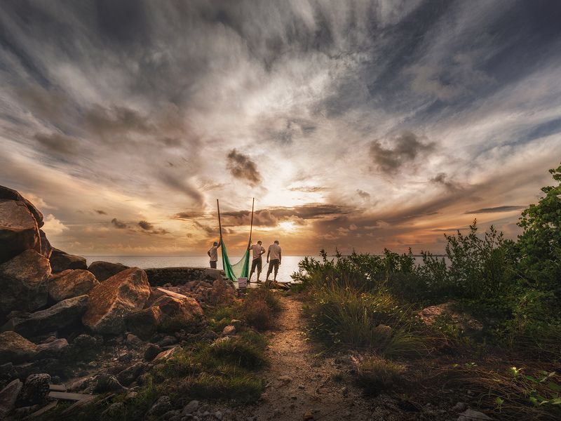 Остров полон звуковphoto preview