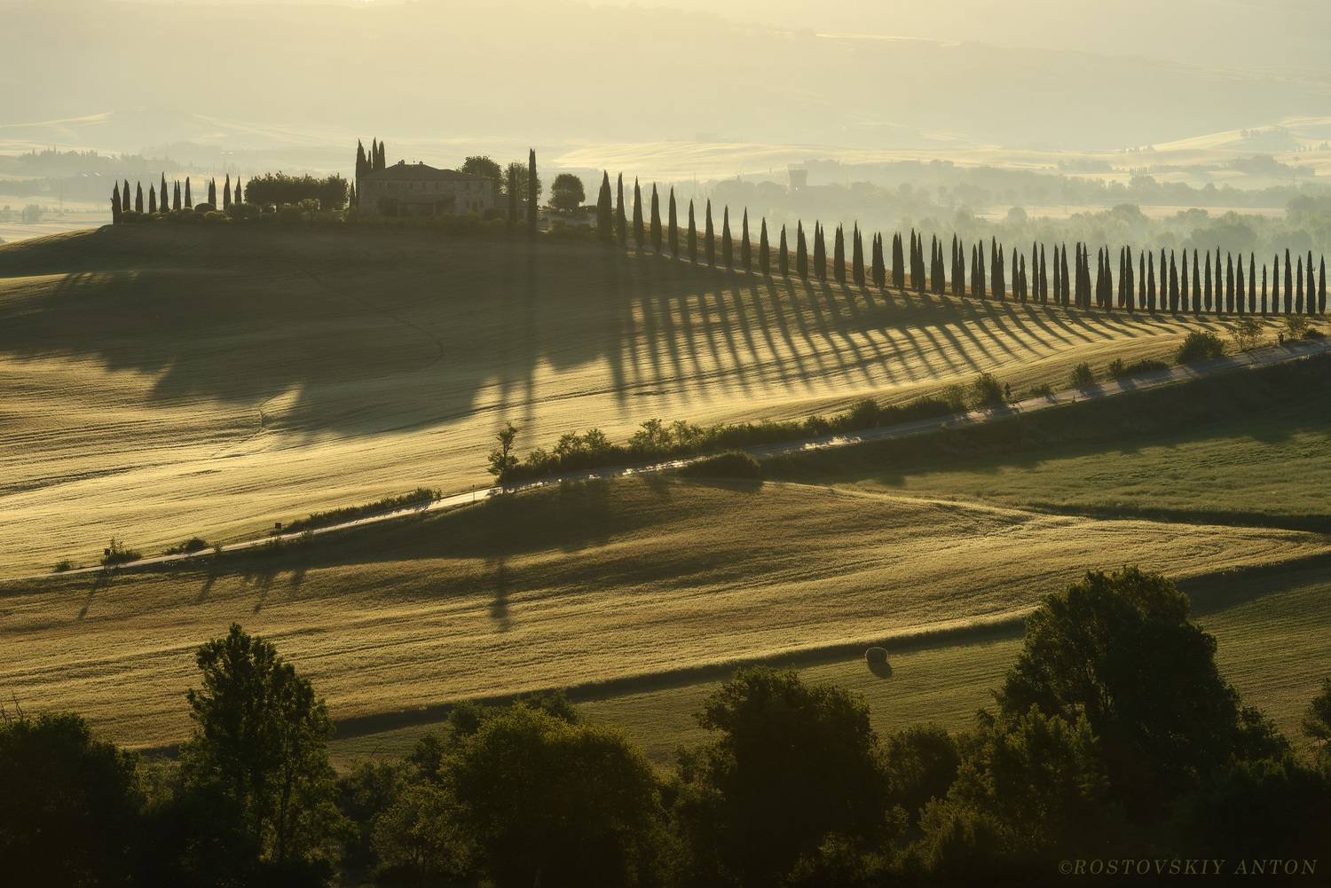 Тоскана, Италия, Туман, утро, кипарисы, фототур, Антон Ростовский