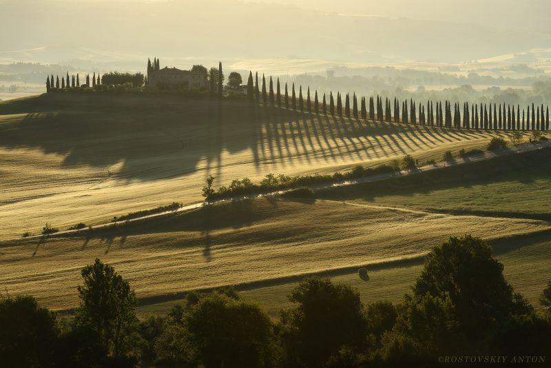 Тоскана, Италия, Туман, утро, кипарисы, фототур Утроphoto preview