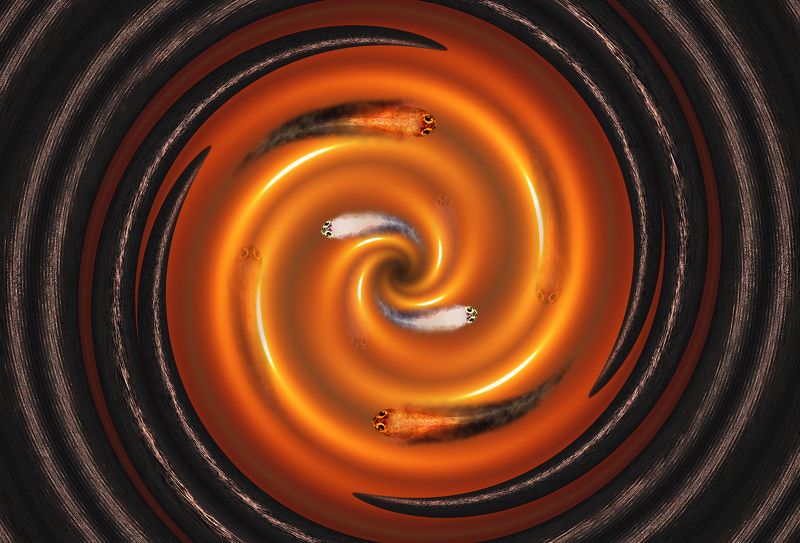 creative, креатив, манипуляция, концепция, цифровое, искусство, digital, art, whirlwind, balance, equilibrium, life Круговерть...photo preview