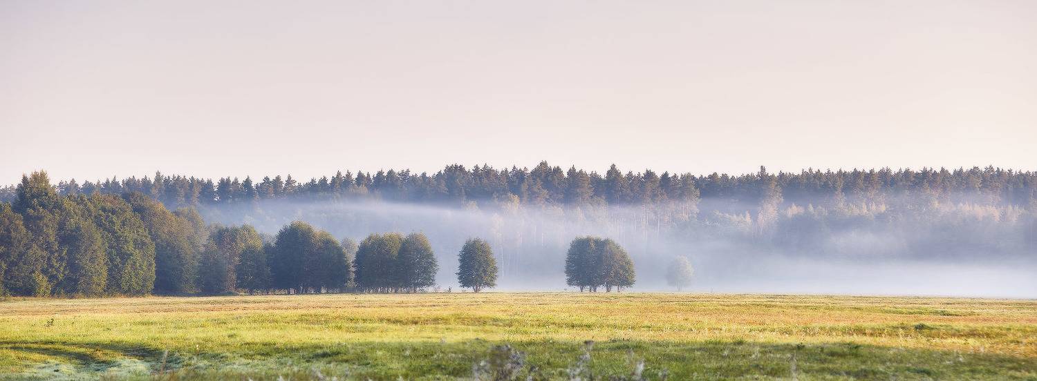 беларусь, неман, осень, панорама, поля, рассвет, сентябрь, туман, утро, Вейзе Максим