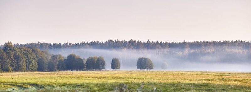 беларусь, неман, осень, панорама, поля, рассвет, сентябрь, туман, утро Уходящий туманphoto preview