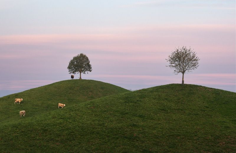 Швейцария ***photo preview