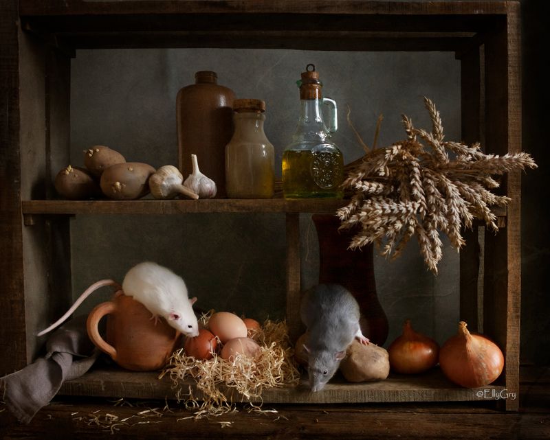 Истории из жизни моих маленьких питомцевphoto preview