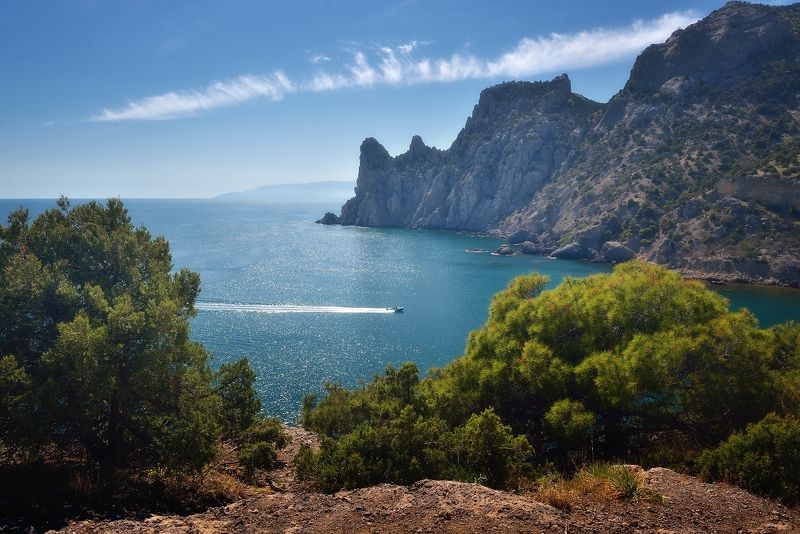 Новый Светphoto preview