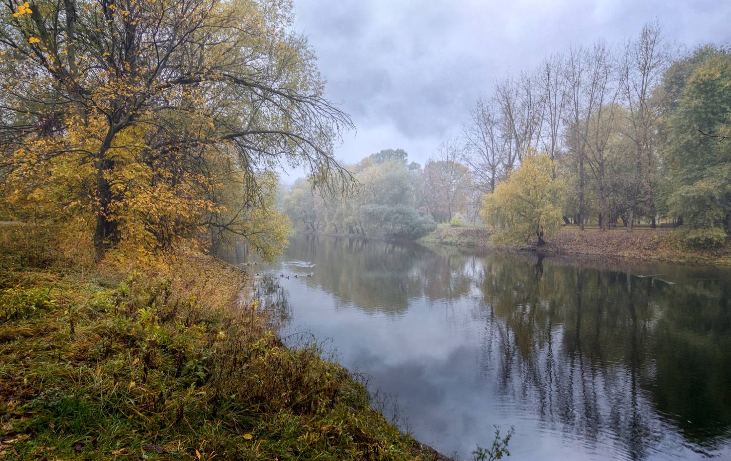 Осенний туман. Автор: Виктор Климкин москва, осень, туман, Виктор Климкин