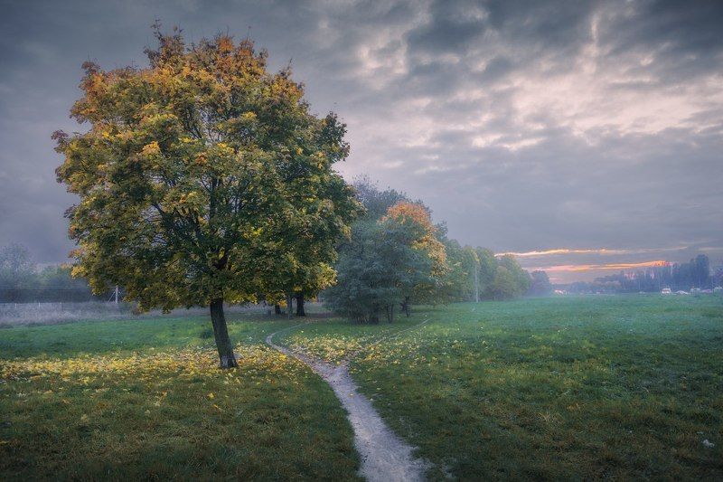 Retkiniaphoto preview