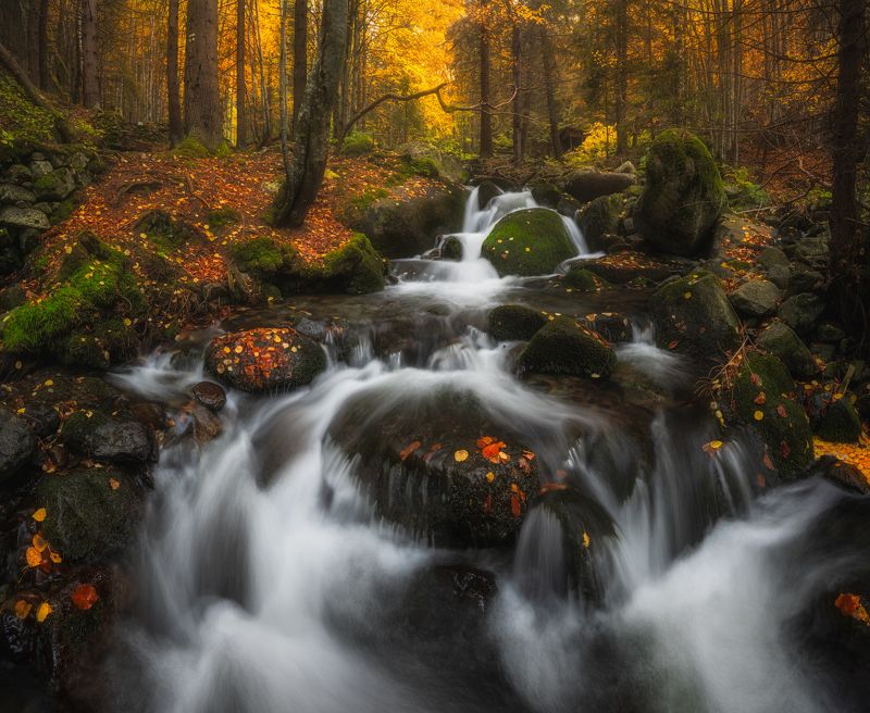water waterfall autumn  Into the woodland photo preview