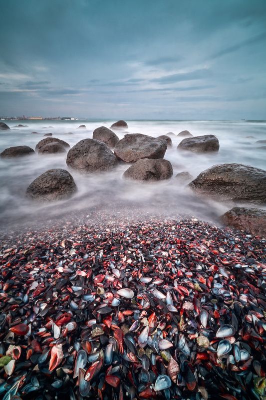 bulgaria, sea, landscape, slow, bivalvia, beach photo preview