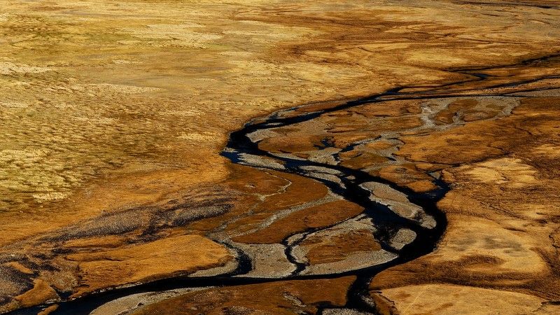 Алтай, Сибирь, Россия Долина тысячи лиственицphoto preview