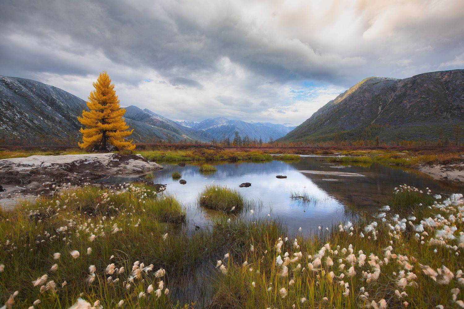 Осенняя долина реки Пурга. Автор: Кочкин Владимир Колыма, Магадан, озеро Джека Лондона, осень, пейзаж, тундра, горы, Кочкин Владимир