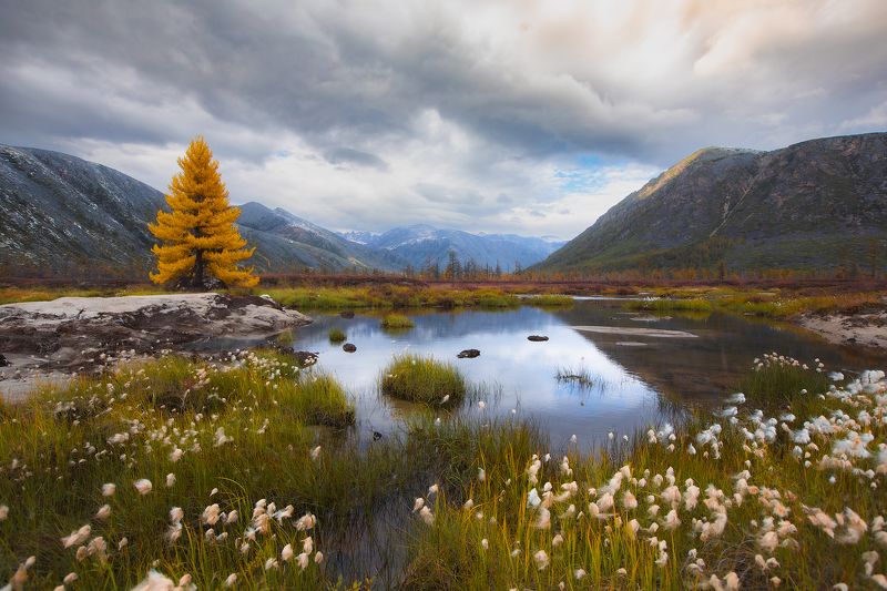 Колыма, Магадан, озеро Джека Лондона, осень, пейзаж, тундра, горы Осенняя долина реки  Пургаphoto preview