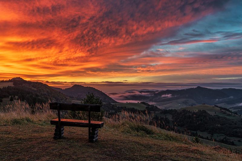 O wschodziephoto preview