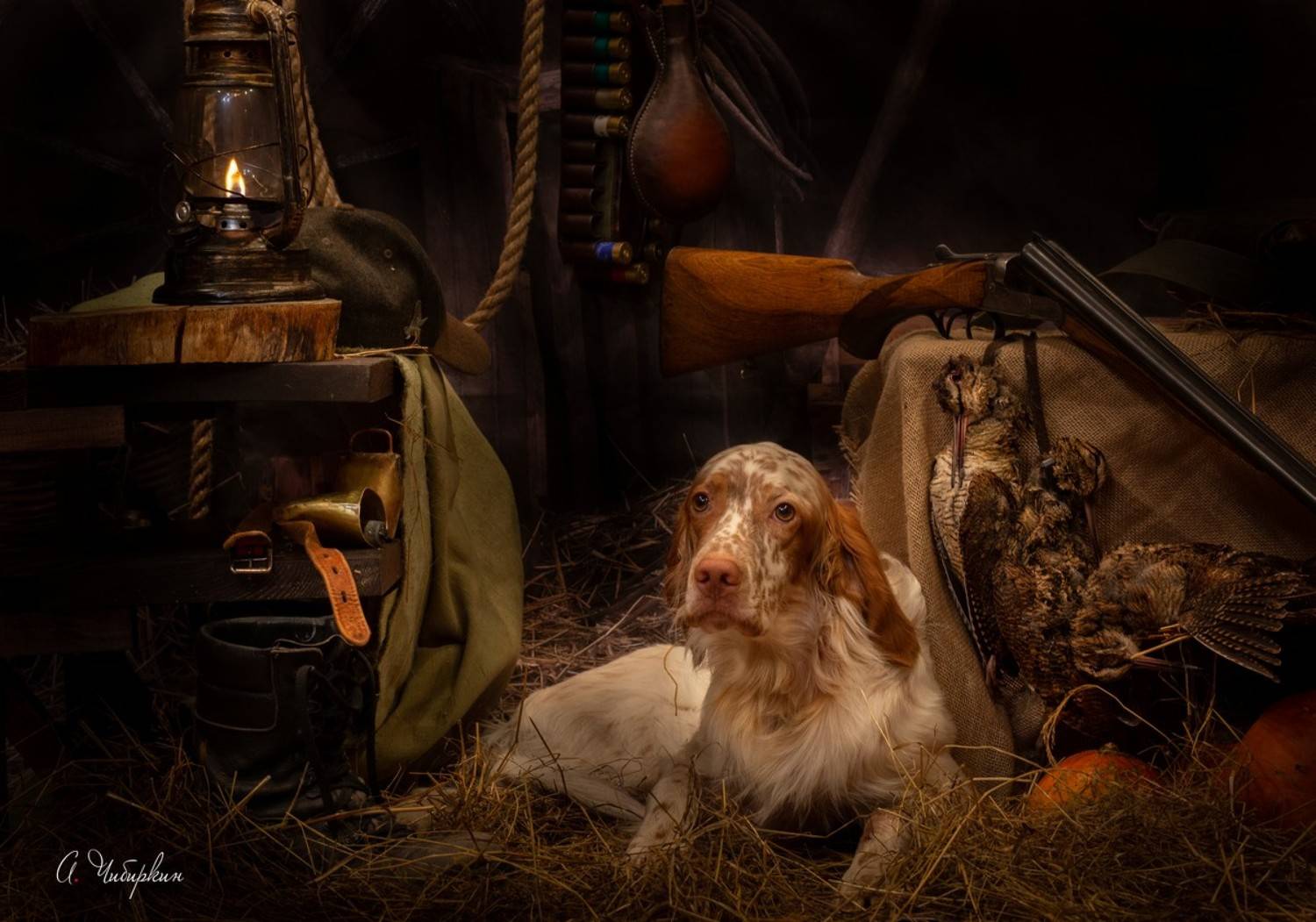 английский, сеттер, охота, портрет, студийный, дичь, ружье, собака, добыча, вальдшнеп, амуниция, сельский, винтаж, подворье, Александр Чибиркин