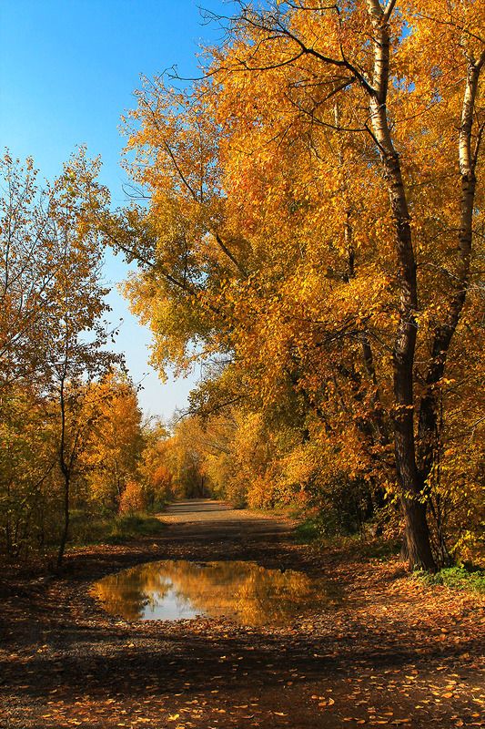 осень, сибирь, россия ..photo preview