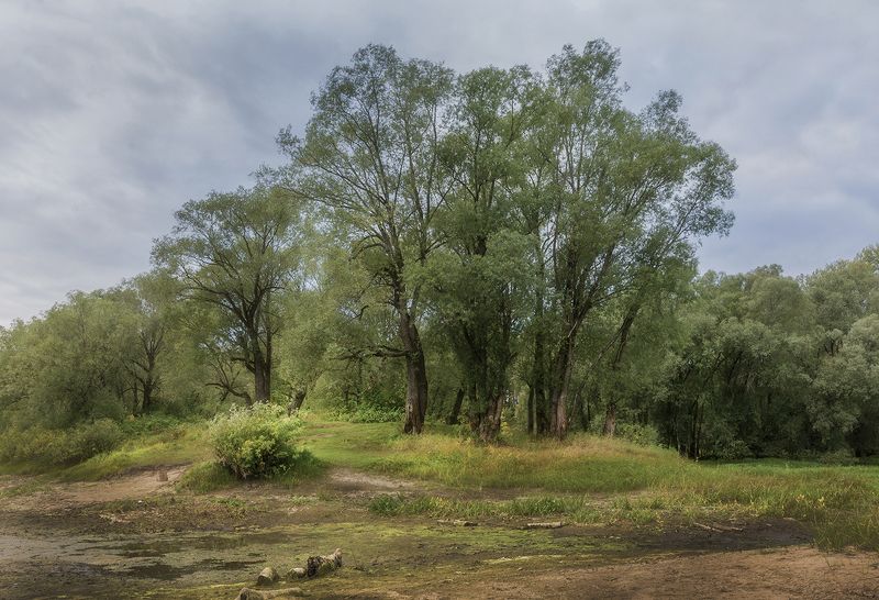 на исходе летаphoto preview