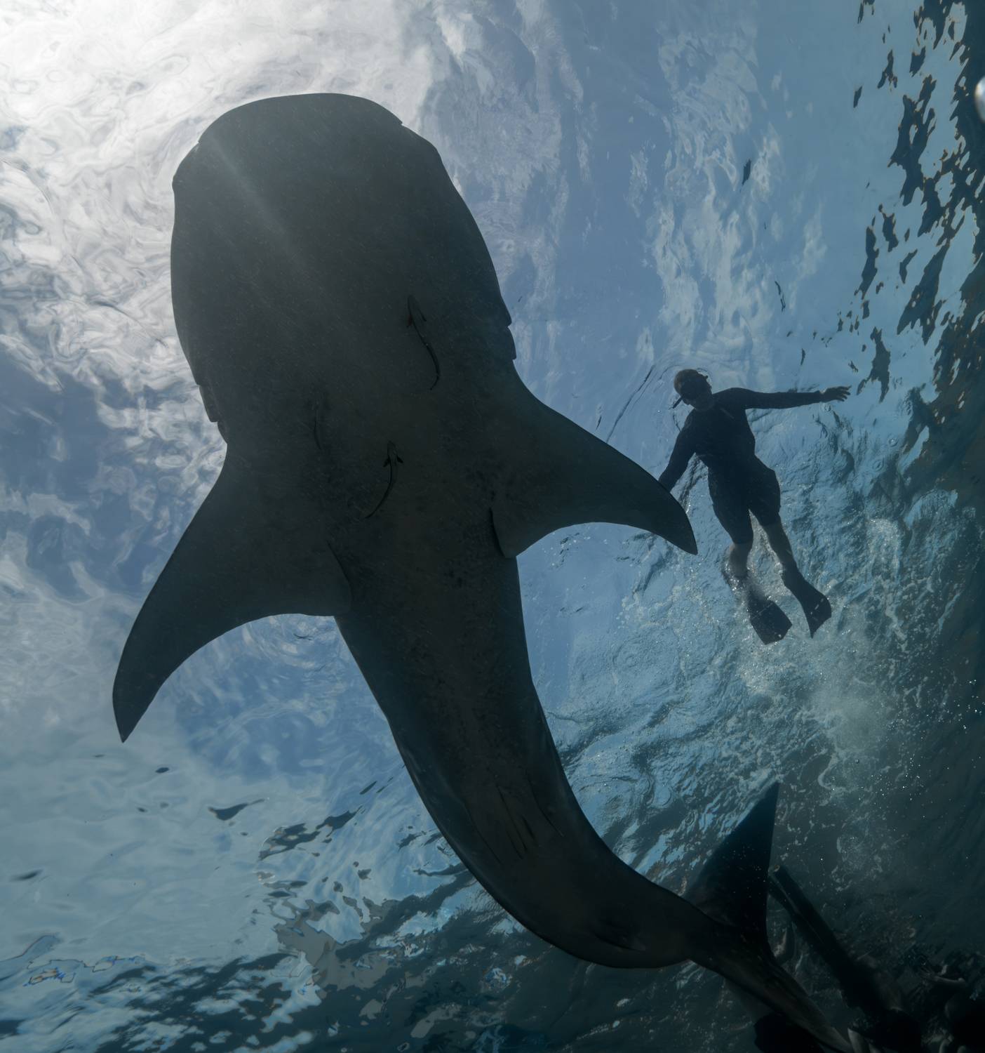 Дай руку, брат. Автор: Савин Андрей , Савин Андрей