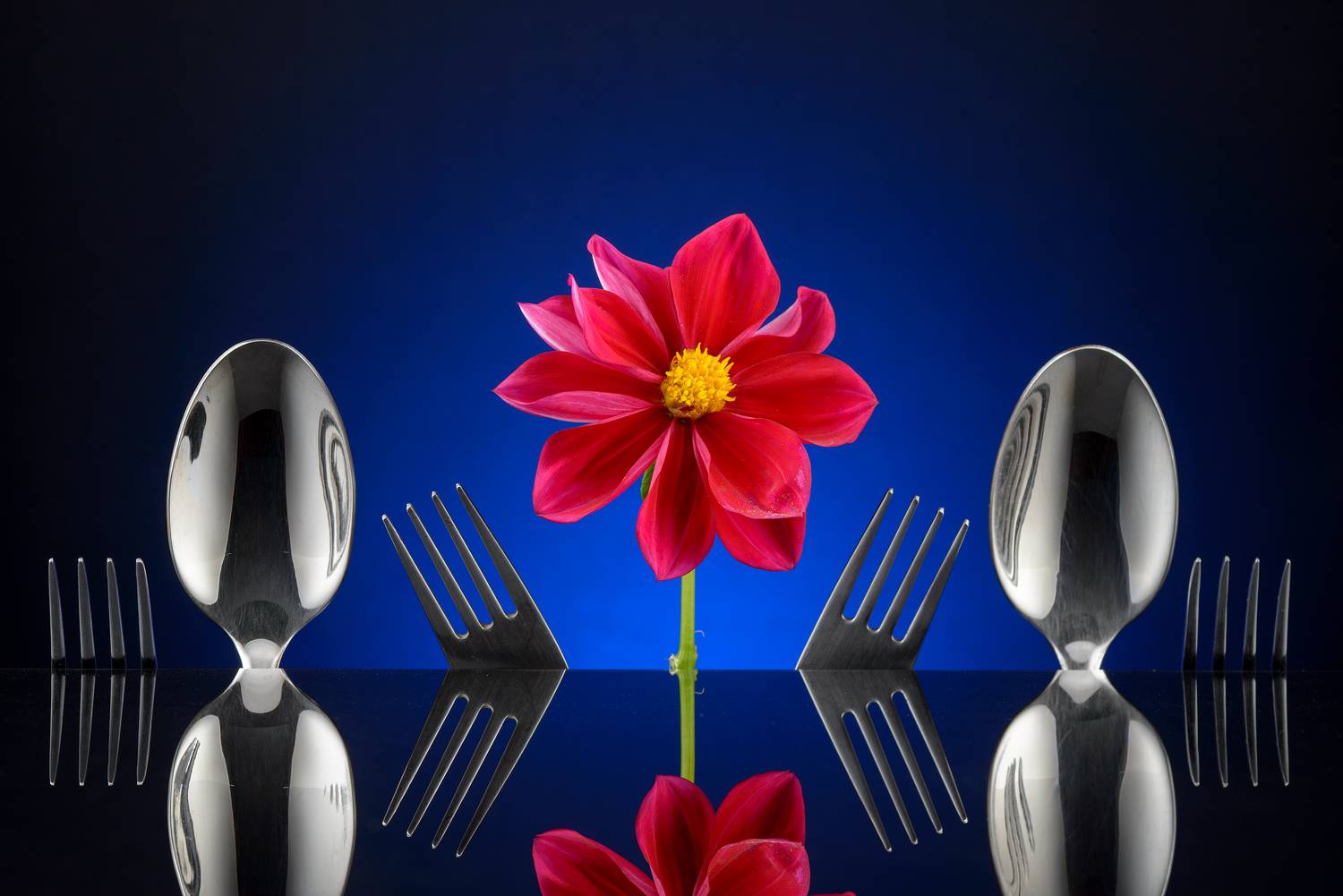 Автор: Сизов Кирилл , Сизов Кирилл