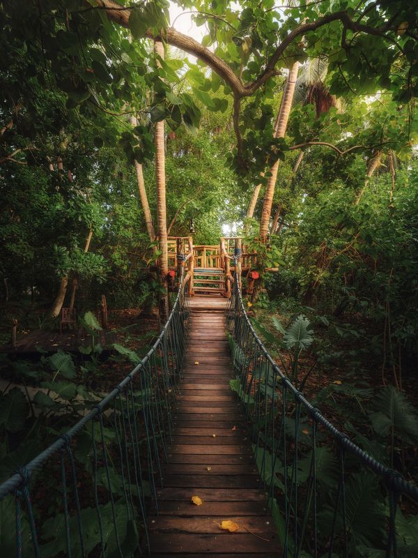 Maldives Island Lifephoto preview