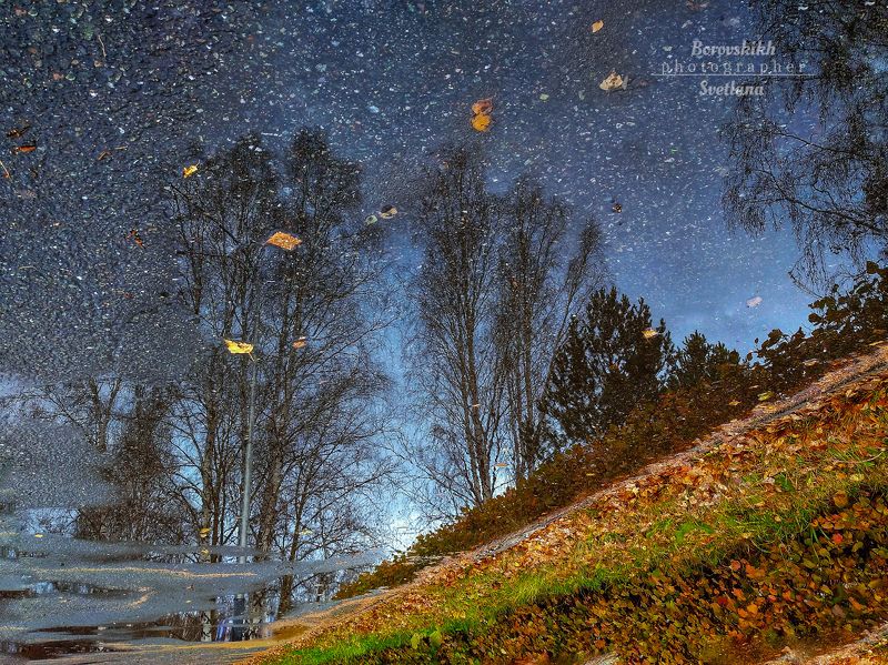 лужа, отражение, отражение в луже, пейзаж, природа, осень Мир, отражённый в луже...photo preview