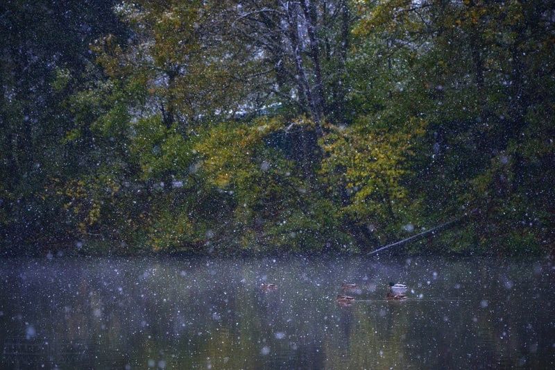 Когда лето встречается с зимой photo preview