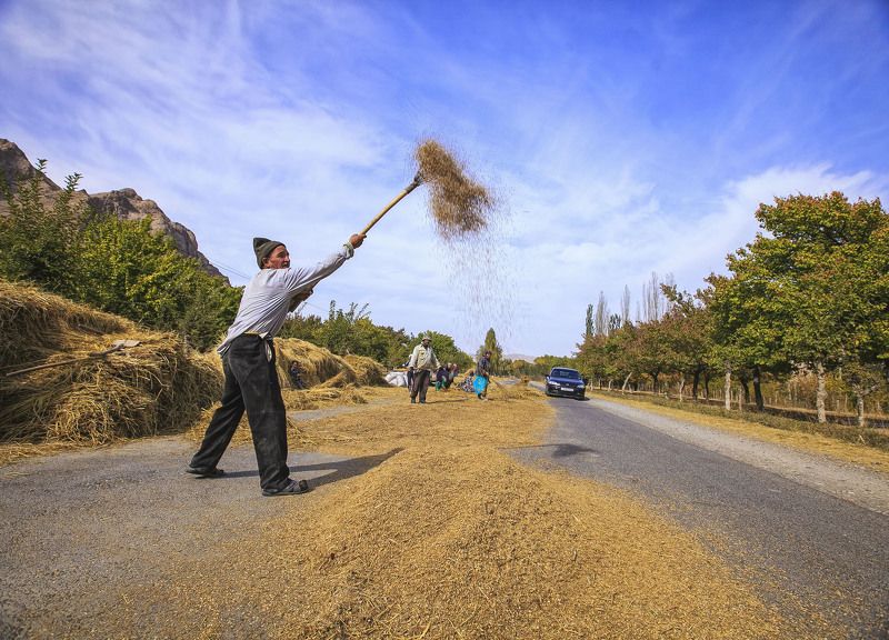 Мои любимые работы…   Страда .Чоркух. Исфара. Таджикистан. Фотография участница моей персональной выставки  в Государственном Музее Изобразительных Искусств им. Пушкина, Музейном Центре РГГУ. Москваphoto preview