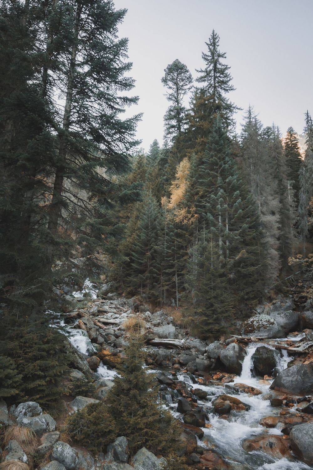 Тебердинский заповедник. Автор: Юрий Пужалин , Юрий Пужалин