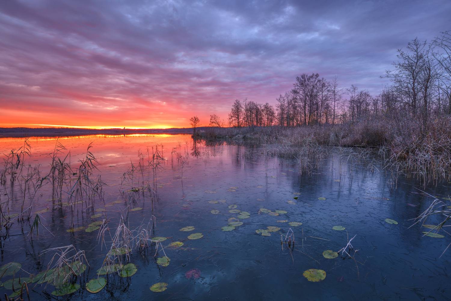 , Максим Евдокимов