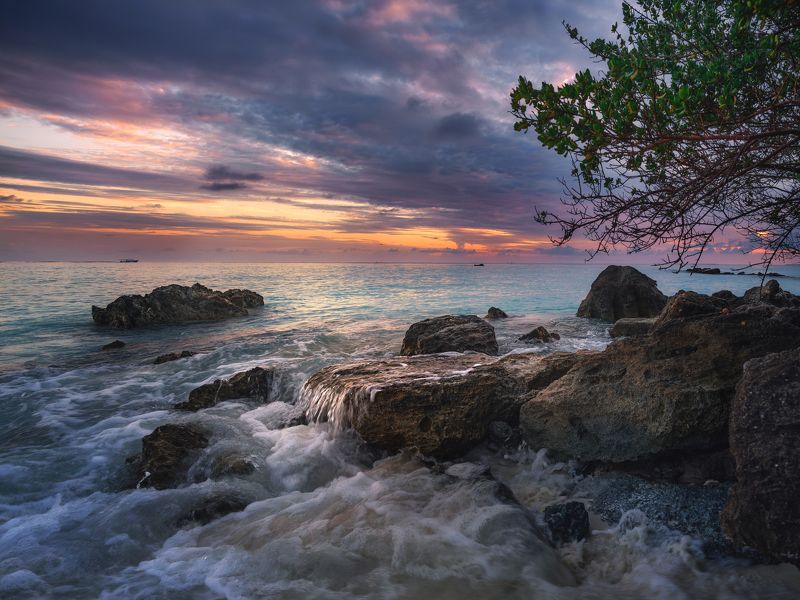 Maldives Island Lifephoto preview