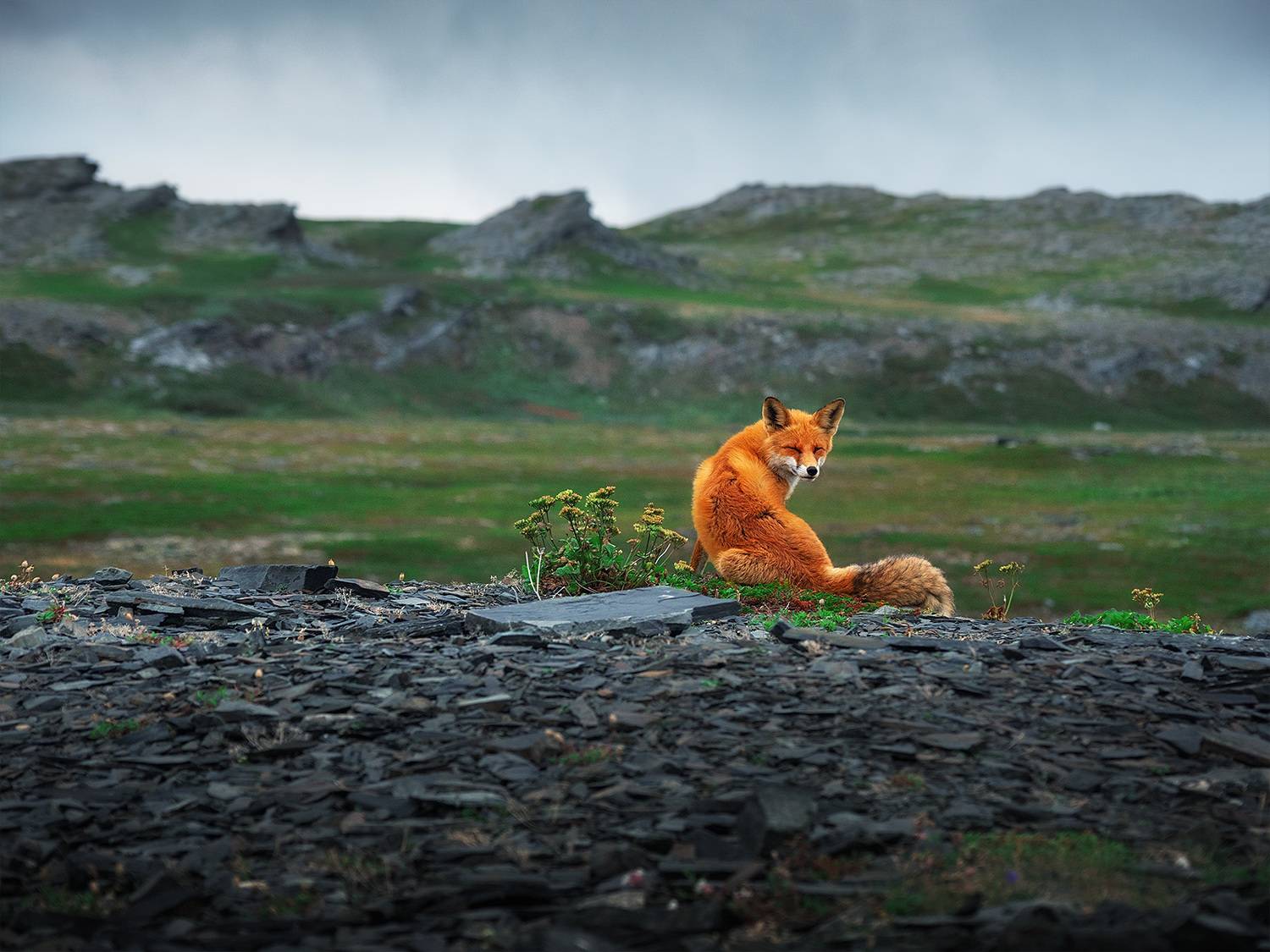 , Андрей Родионов