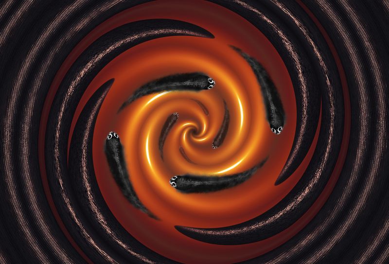 creative, креатив, манипуляция, концепция, цифровое, искусство, digital, art, dark, quiet, whirlpool, devils, evil В тихом омуте - черти водятся...photo preview