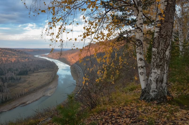 россия, кузбасс, осень, октябрь, утро, пейзажи,  утёс, дерево, береза, сосна, ели, река кондома Осенние Катунские утёсыphoto preview