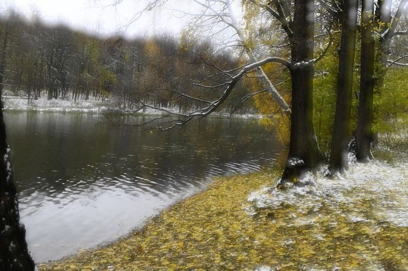 Первый снег фото превью