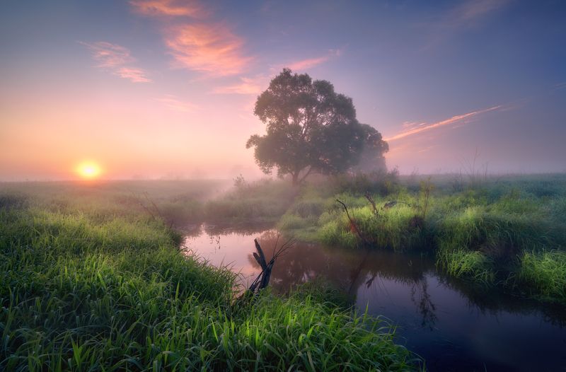 Ракита и Восход ... фото превью