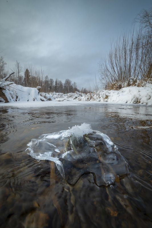 зима, солнце, лес, пейзаж, деревья, , вода, лед Ледяной островокphoto preview