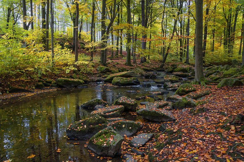 Spreepark Deutschland Sachsen Oberlausitzphoto preview