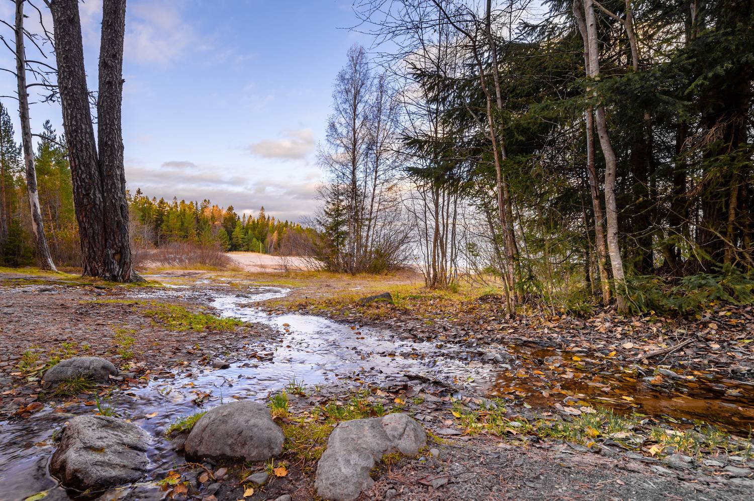 финский, пляж., приозерск., октябрь, 2023, года., Бабурин Олег