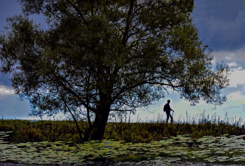 Зазеркальеphoto preview