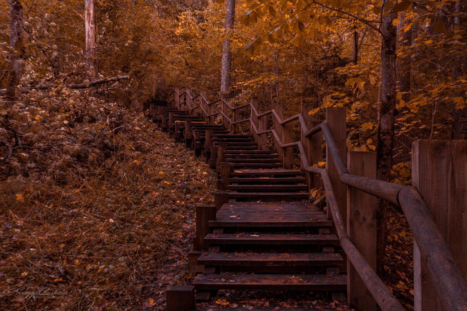 #latvia, #autumn, #fall, #forest, #sigulda, #europe, #stairs, #nature, Sergejs Barkans