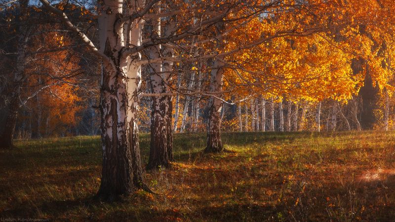 башкортостан, южный урал, уральские горы, золотая осень Золотая осень на Южном Уралеphoto preview