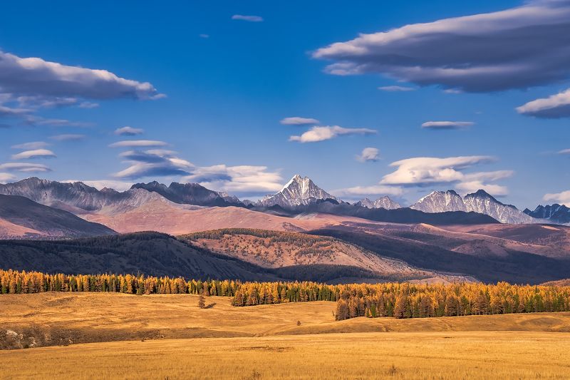 Иикту фото превью