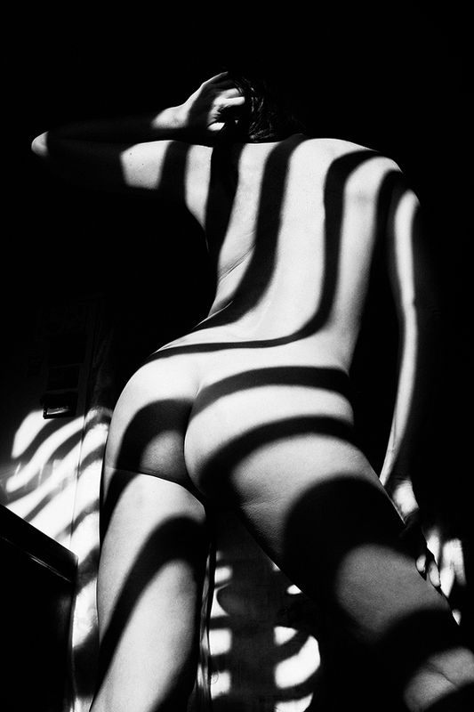 art nude, fine art nude, bw nude photo, conceptual, minimalism nude, shadows nude, art shadows, zebra shadows nude, abstract nude,, zebra **photo preview