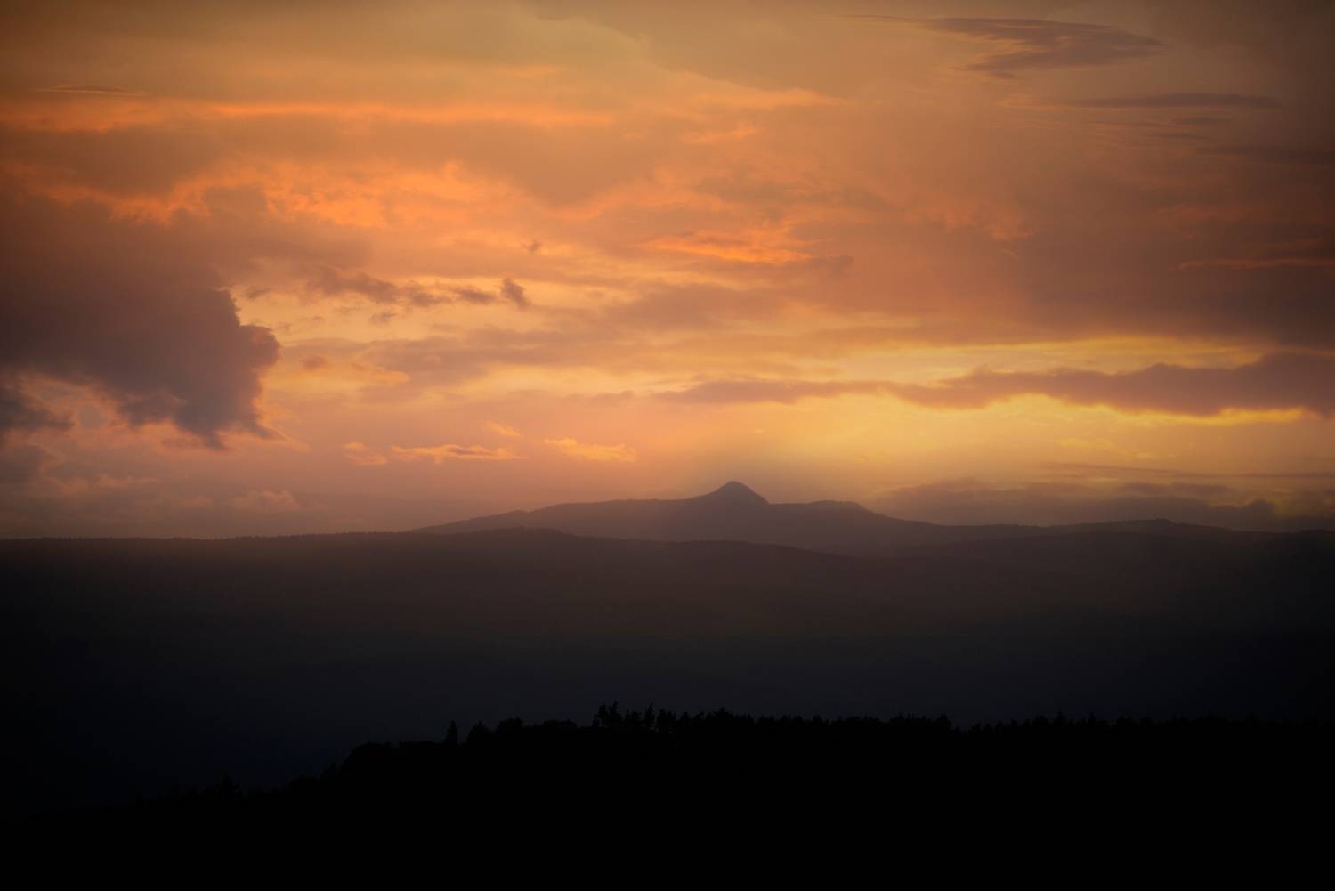 Автор: Антонов Антон , Антонов Антон