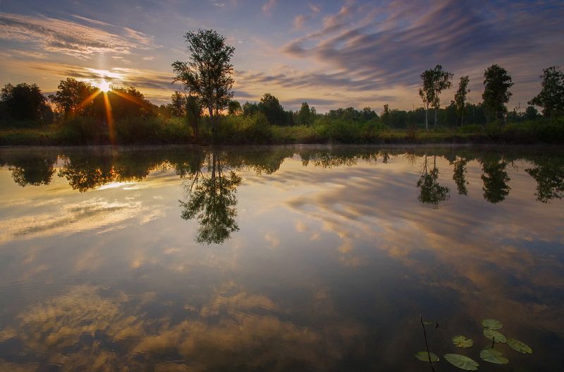 лето, утро, рассвет, озеро, вода Тихое утроphoto preview