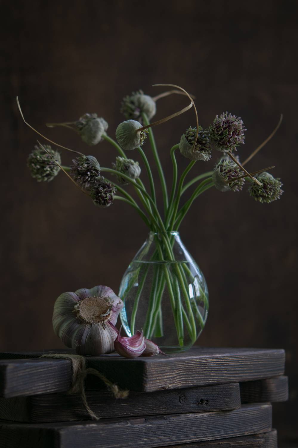 натюрморт,ставрополь,чеснок, Денис Ветренко