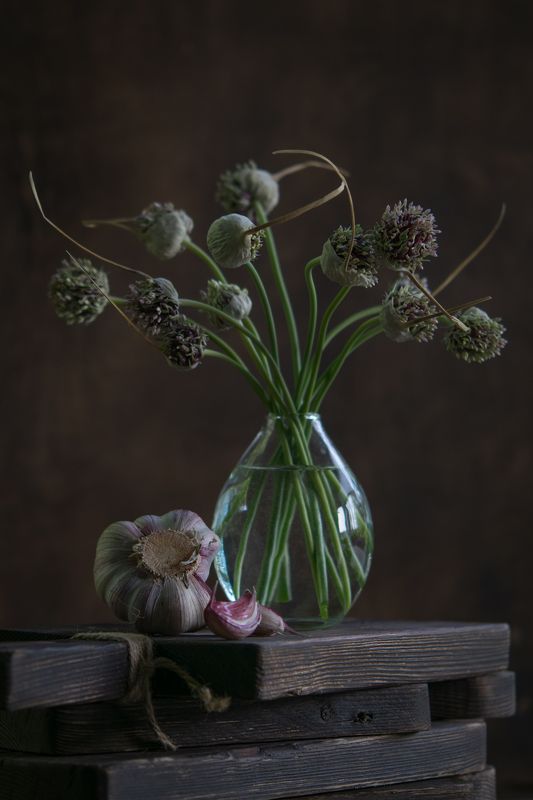 натюрморт,ставрополь,чеснок Чесночныйphoto preview