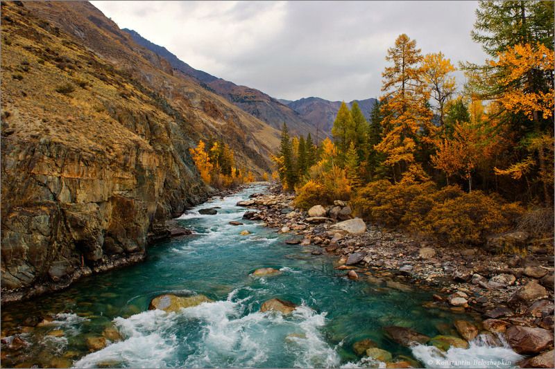 Осень. Изумрудные реки Алтая.photo preview