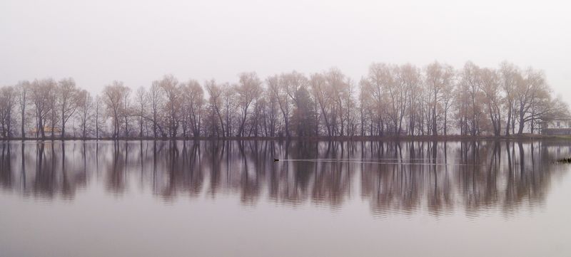 Октябрь.Туманы.photo preview