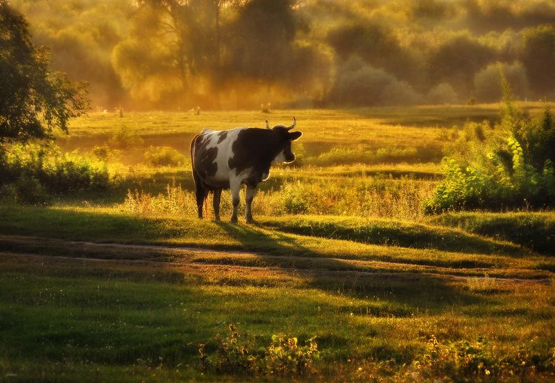 А где же лето?photo preview